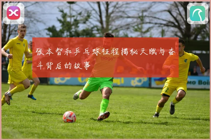 张本智和乒乓球征程揭秘天赋与奋斗背后的故事